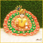 Blended Thread Pearl Work Multicolor Poshak